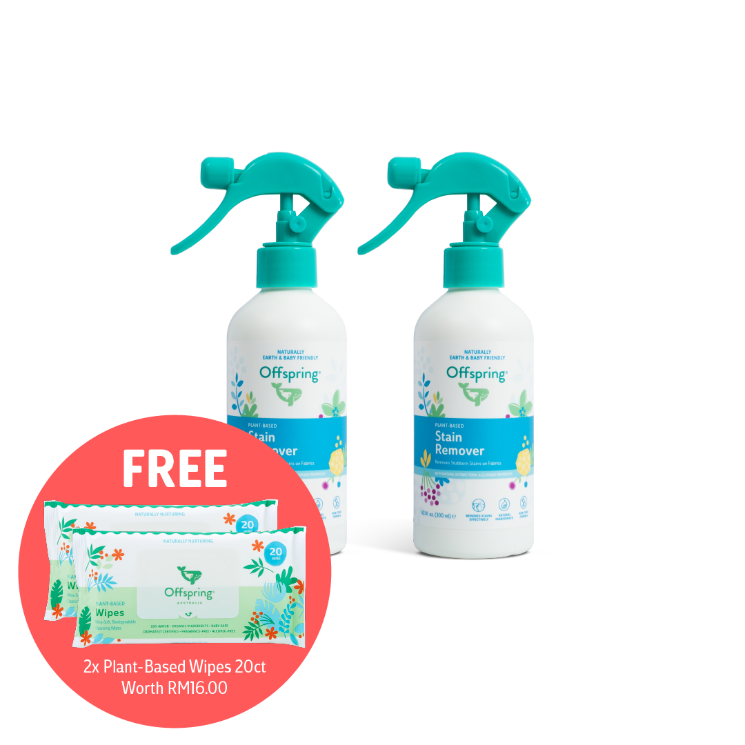 Stain Remover Twin Pack